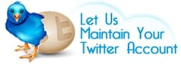 Twitter Monthly Maintenance
